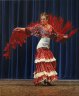   Danseuse de Flamenco 
